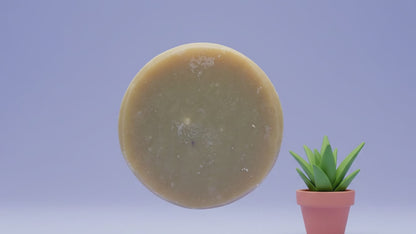 Aloe Shampoo Pucks - Nourishing Haircare